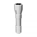 [Packung mit 10] ARUM INTERNAL SCHRAUBE - Kompatibel mit Straumann® Bone Level® NC 3.3
